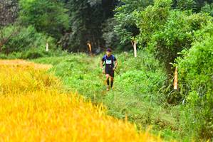 BIB: 
                            <button type="button" onclick="openModal(13456350)" class="btn btn-primary btn-sm float-right btn-popup" data-toggle="modal" data-target=".modal-high-quality">
                        <i class="fas fa-shopping-cart"></i> Add to Cart
                    </button>
                                            <button type="button" onclick="isThisMe(13456350, true)" class="btn btn-success btn-sm float-right btn-popup btn-isme hidden" data-toggle="tooltip" data-placement="bottom" title="นี่คือรูปของคุณใช่ไหม คลิกที่นี่เพื่อเอาเข้าอัลบั้ม">
                        <i class="fas fa-plus"></i> Add to album
                    </button>
                    <button type="button" onclick="isThisMe(13456350, false)" class="btn btn-warning btn-sm float-right btn-popup btn-isnotme hidden">
                        <i class="fas fa-ban"></i> Remove from album
                    </button>